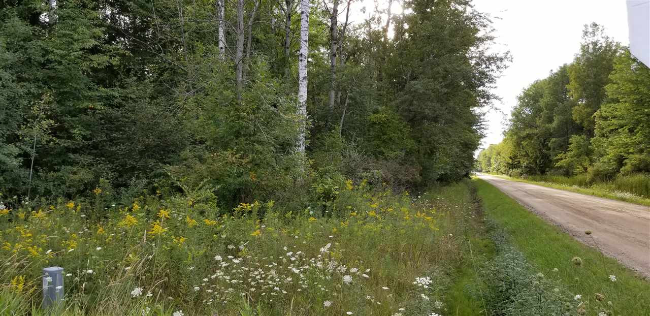 0 North Magruder Road Coleman, MI 48618 - Photo 2 of 5 1867396-1.JPG
