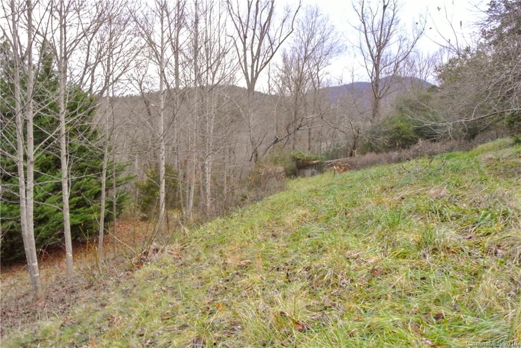 75 Lower Thomas Branch Road Marshall, NC 28753 - Photo 19 of 23