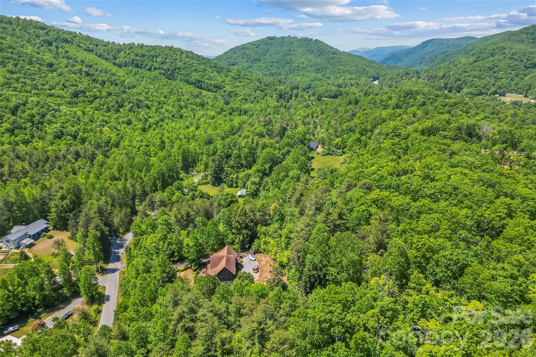 482 Gap Creek Road Zirconia, NC 28790 - Photo 43 of 48
