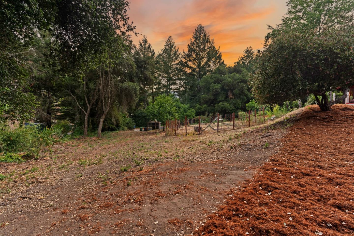 10845 Vineland Road Ben Lomond, CA 95005 - Photo 65 of 77 a view of outdoor space with trees