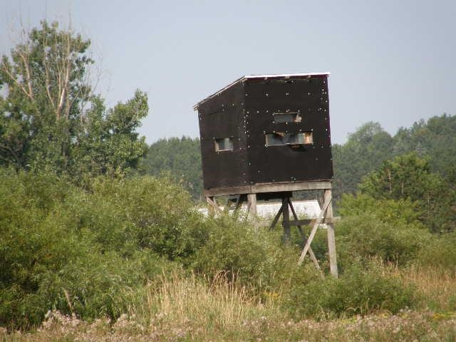 Tbd West Coe Road, Unit COE ROAD Shepherd, MI 48883 - Photo 1 of 9
