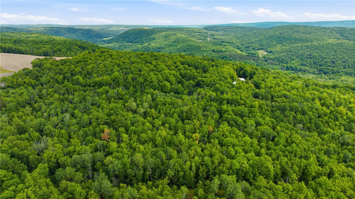 Dunn Road Pine Valley, NY 14872 - Photo 11 of 14