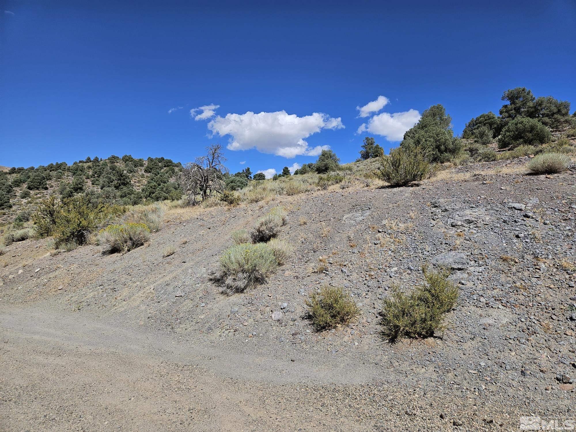 1461 Breccia Road Wellington, NV 89444 - Photo 28 of 29 Photo 28