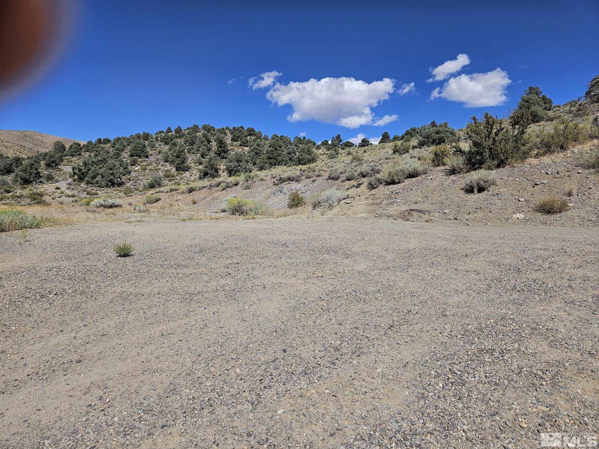 1461 Breccia Road Wellington, NV 89444 - Photo 29 of 29 Photo 29