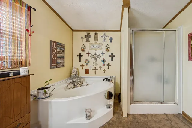 a bathroom with a sink a mirror and a shower