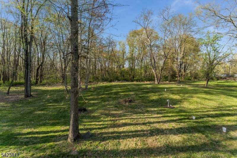 722 County Rte 579 Flemington, NJ 08822 - Photo 40 of 42
