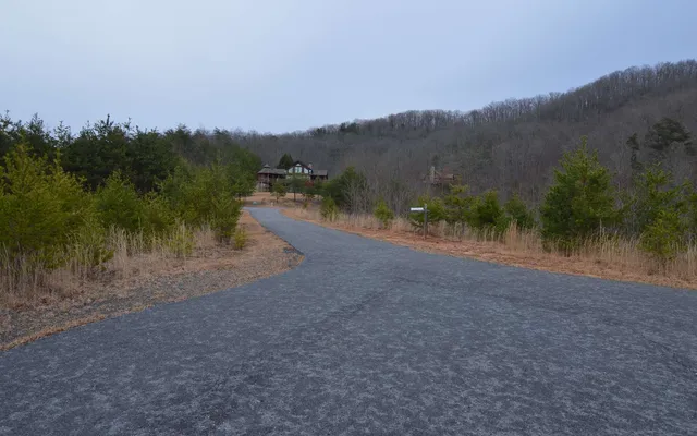 $35,000 | Lot 2 The Preserve At Beach Mountain, Dry Branch, GA 31020
