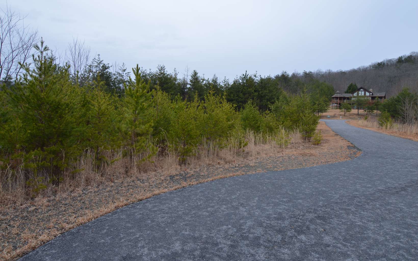 Lot 2 The Preserve At Beach Mountain Dry Branch, GA 31020 - Photo 6 of 8 Additional View