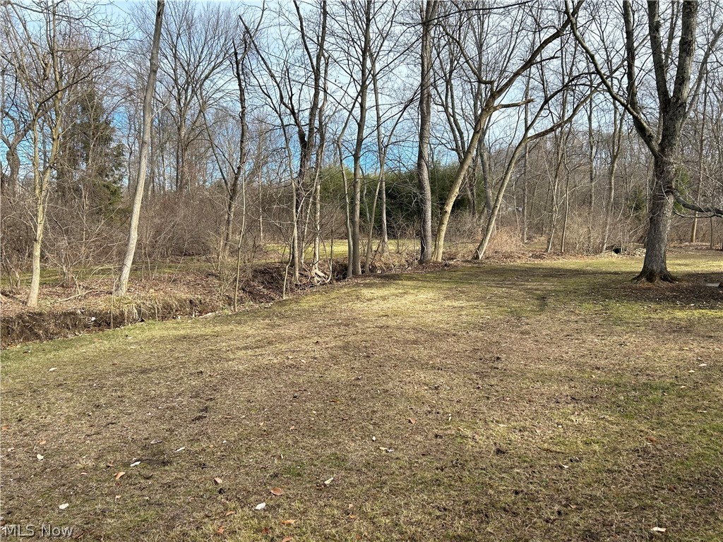 1283 Nesbitt Road Northfield, OH 44067 - Photo 8 of 22 Yard/creek