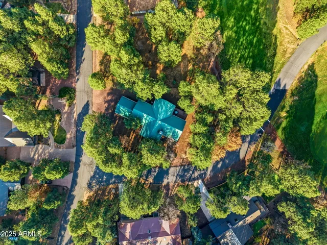 an aerial view of residential houses with outdoor space and trees
