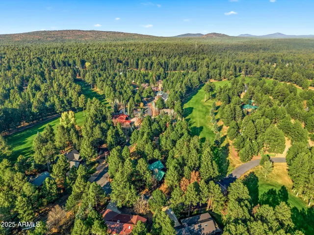 a picture of flowers