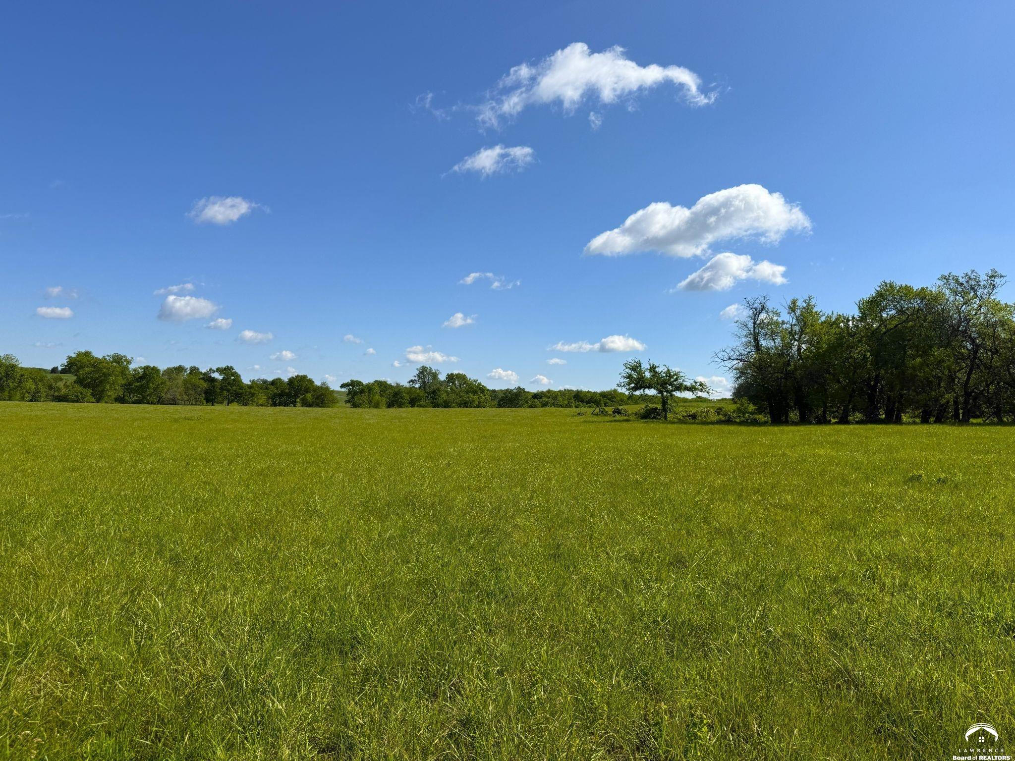 919 North 100th Road Baldwin City, KS 66006 - Photo 12 of 24