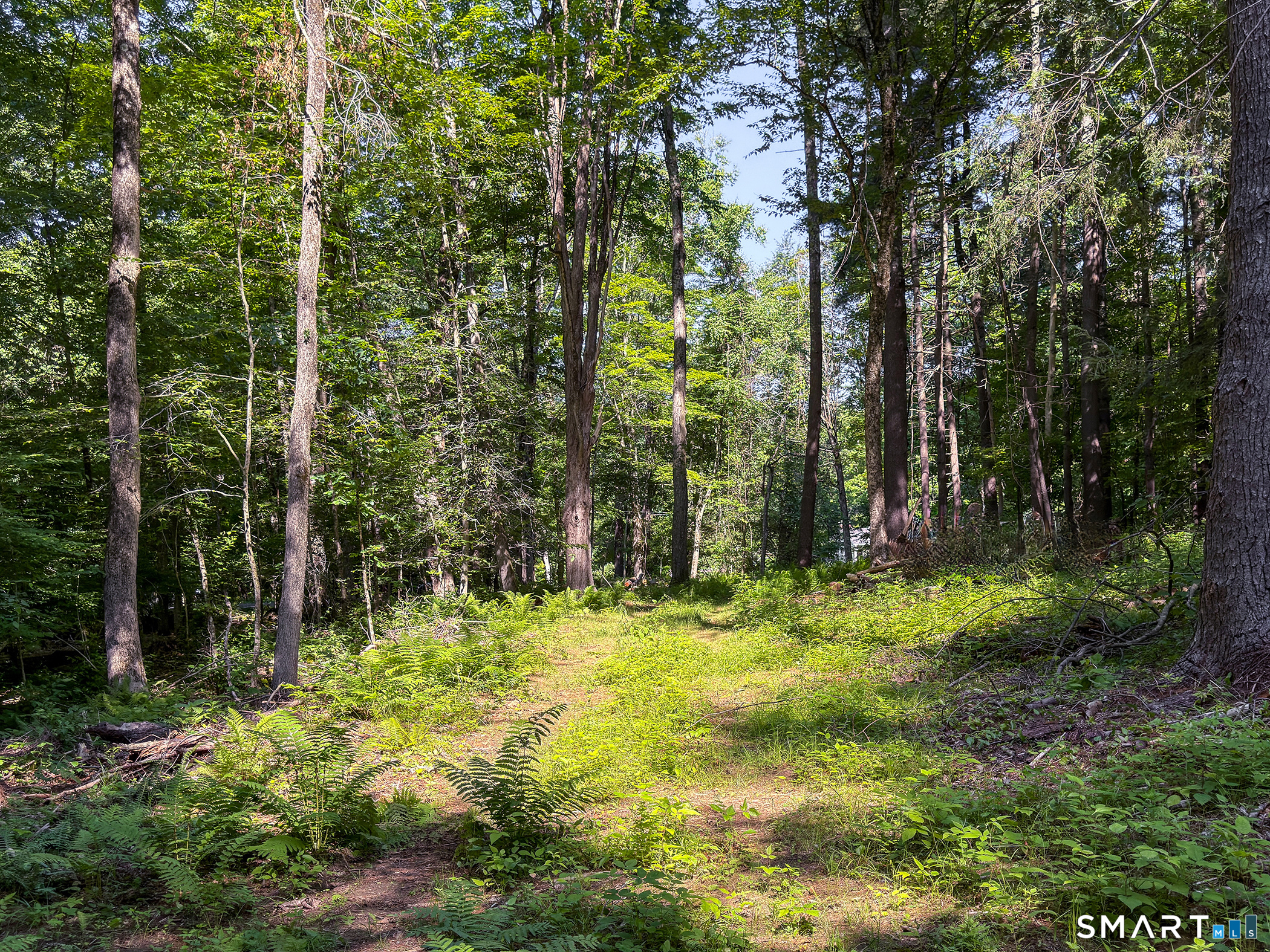 0 Great Hollow Road West Cornwall, CT 06796 - Photo 14 of 20 Gallery Image 14