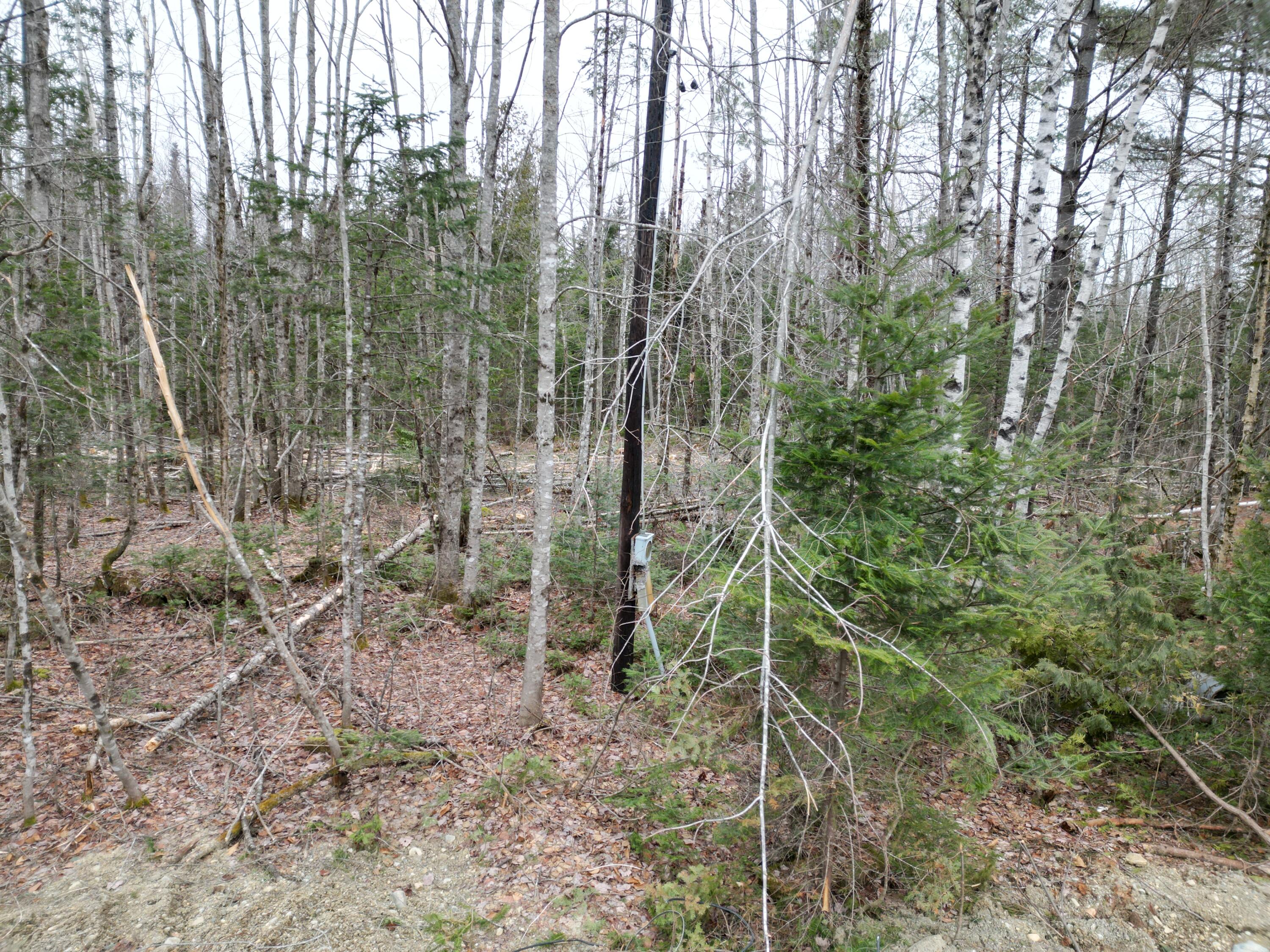 Lot 52.3 Lagrange Road Milo, ME 04463 - Photo 10 of 24 DJI_0248