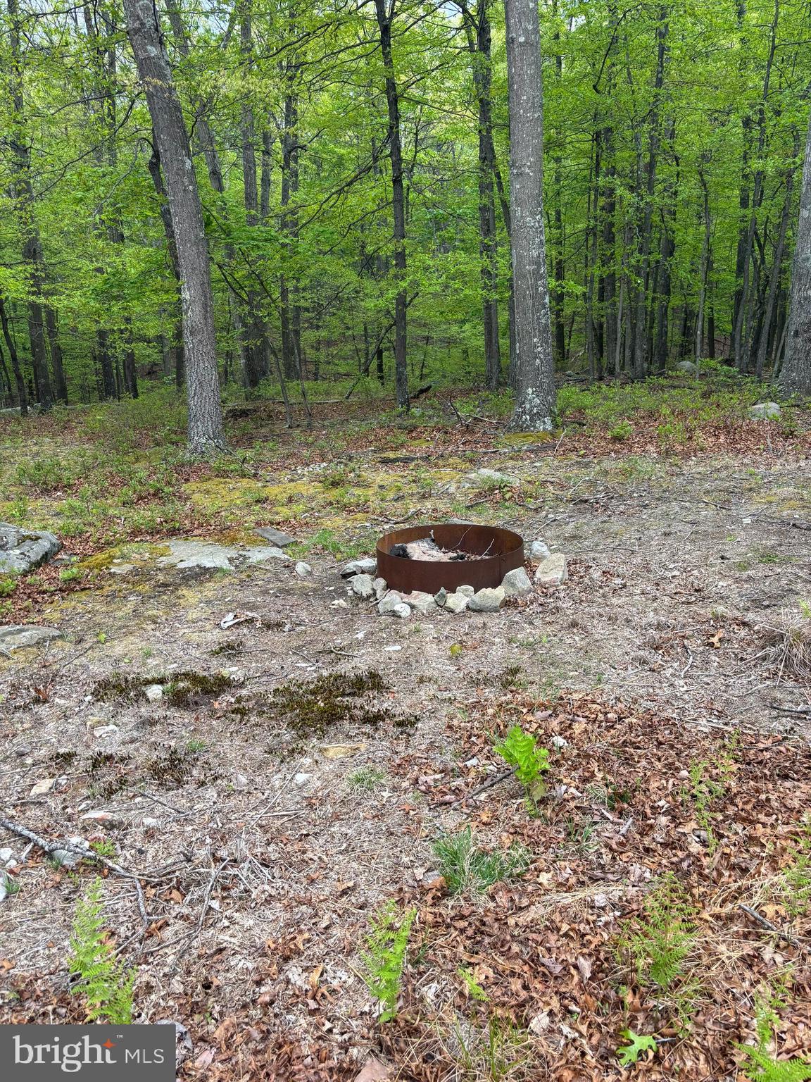 64 Trout Pass Park Road Mathias, WV 26812 - Photo 8 of 12