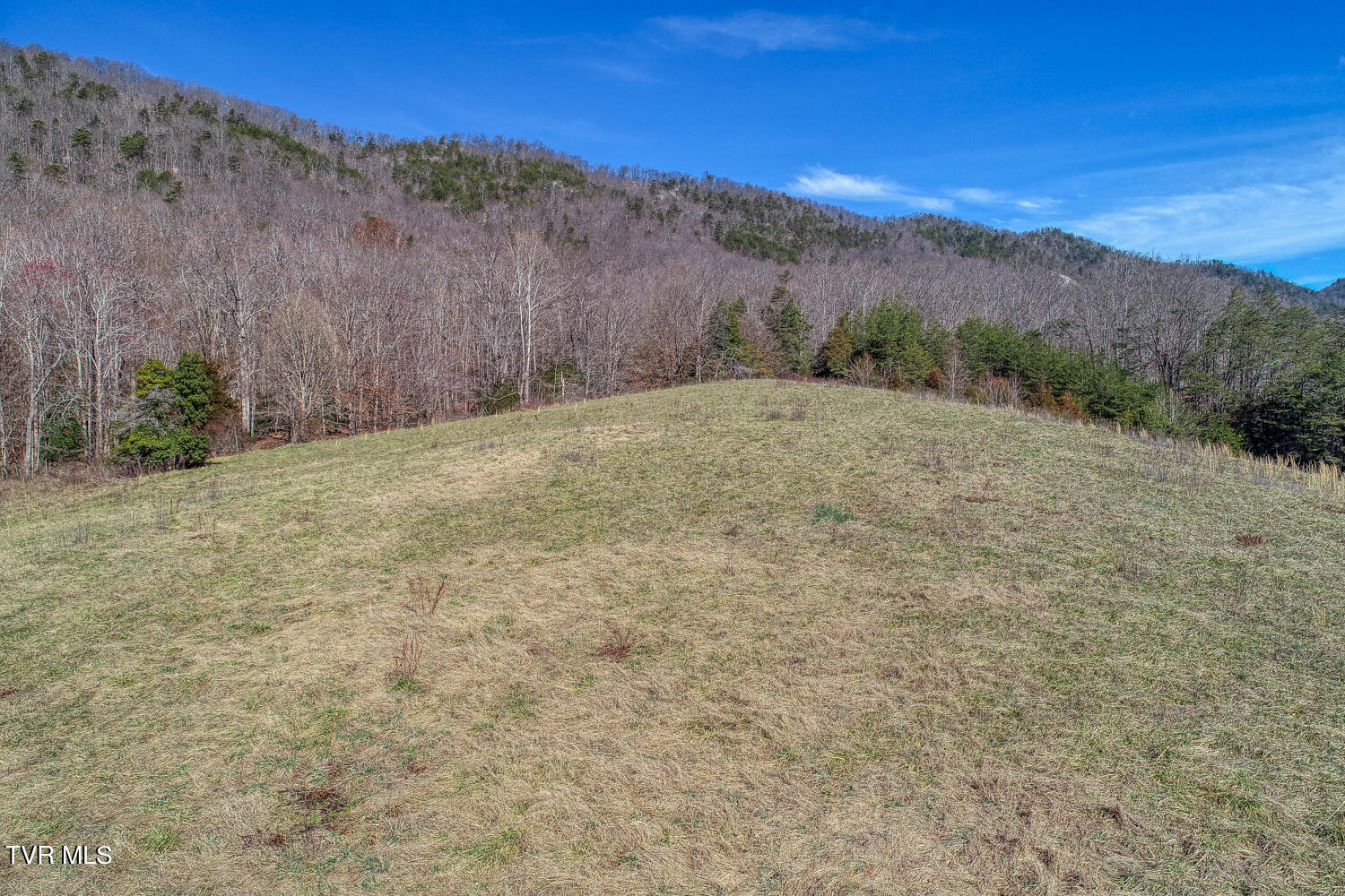 1895 Poor Valley Road Rogersville, TN 37857 - Photo 30 of 174 CBJ. 1895 Poor V Rd. Rog MLSa (30 of 72