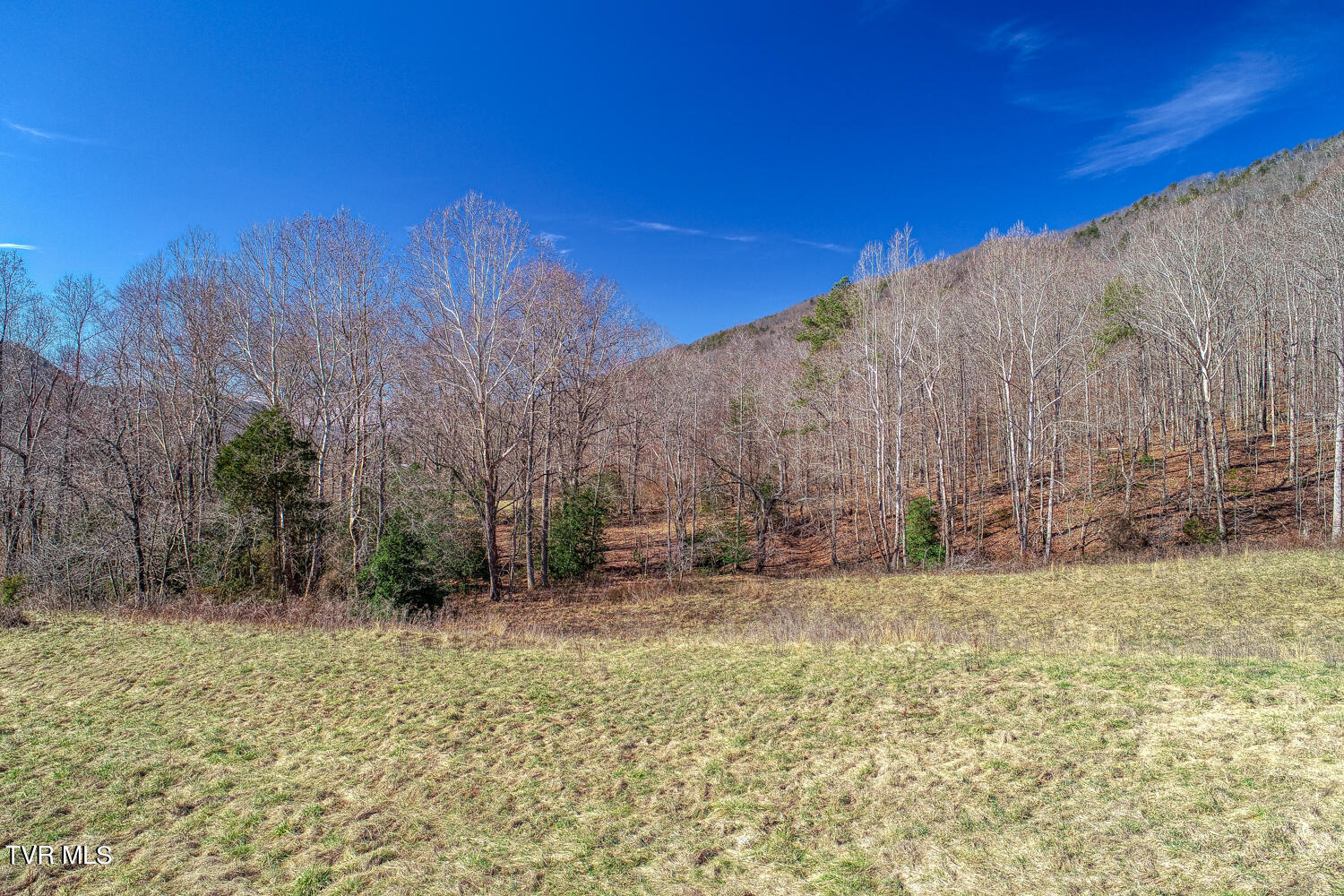1895 Poor Valley Road Rogersville, TN 37857 - Photo 32 of 174 CBJ. 1895 Poor V Rd. Rog MLSa (32 of 72