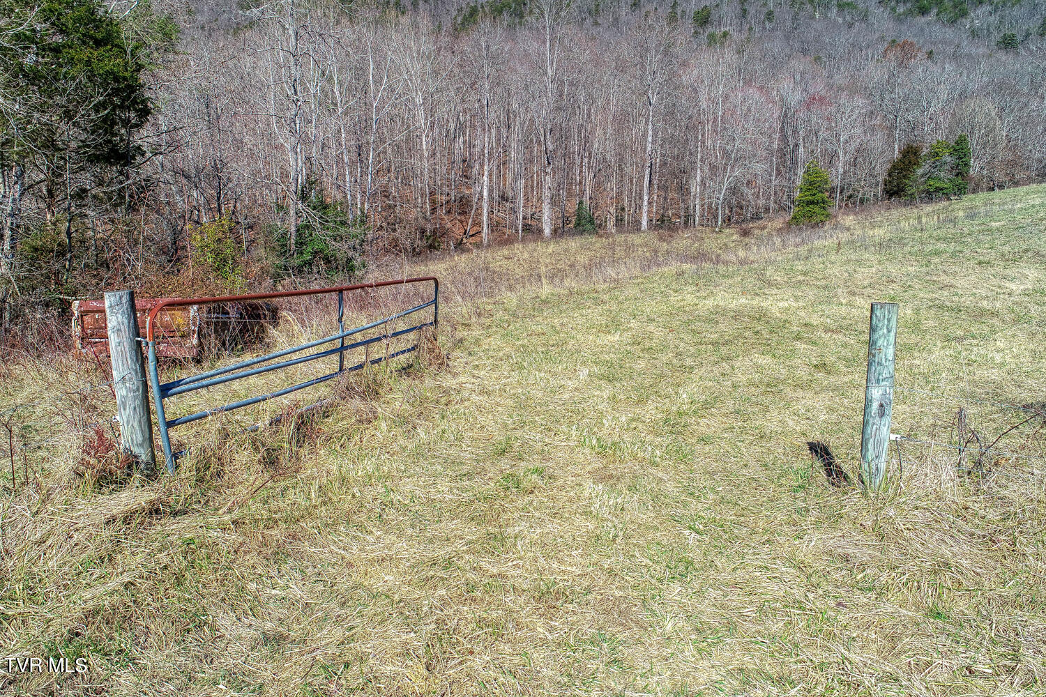 1895 Poor Valley Road Rogersville, TN 37857 - Photo 35 of 174 CBJ. 1895 Poor V Rd. Rog MLSa (35 of 72