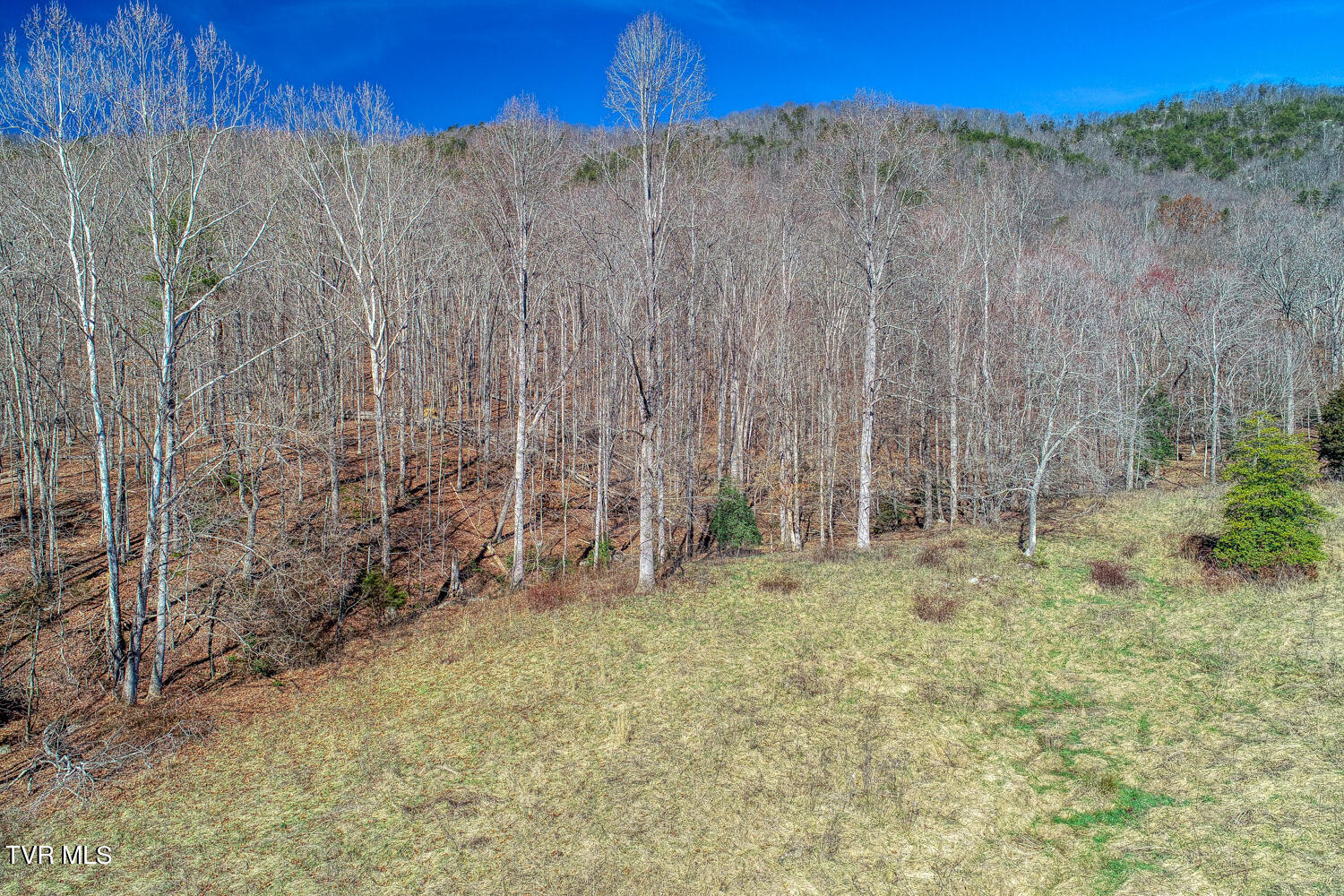 1895 Poor Valley Road Rogersville, TN 37857 - Photo 36 of 174 CBJ. 1895 Poor V Rd. Rog MLSa (36 of 72
