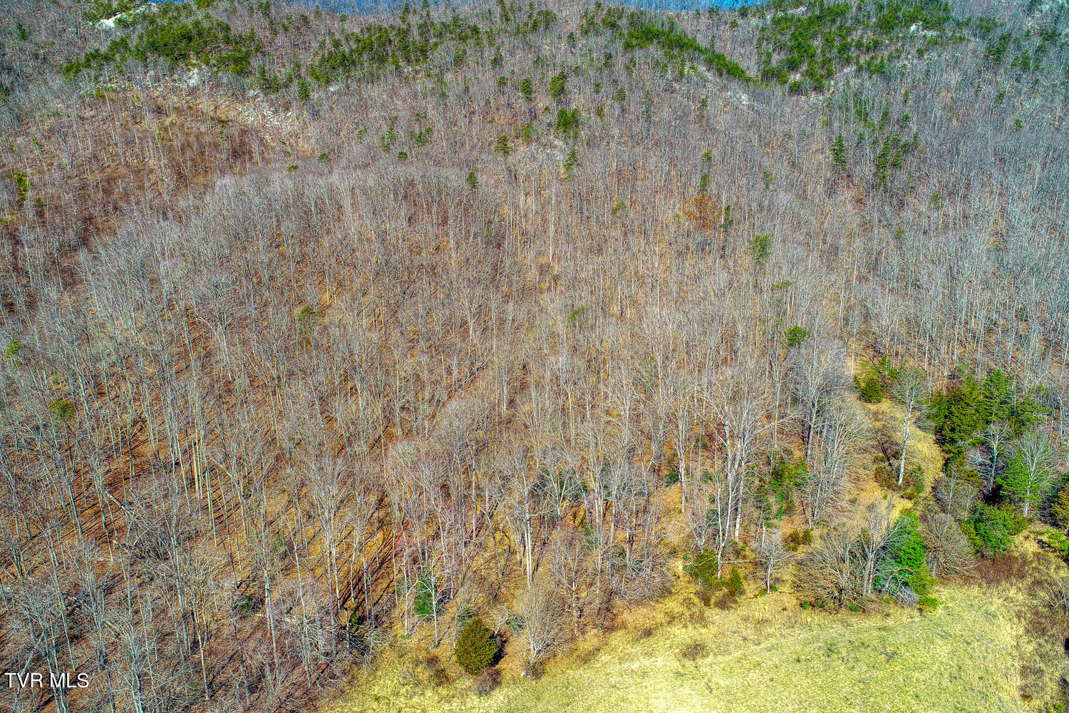 1895 Poor Valley Road Rogersville, TN 37857 - Photo 62 of 174 CBJ. 1895 Poor V Rd. Rog MLSa (62 of 72