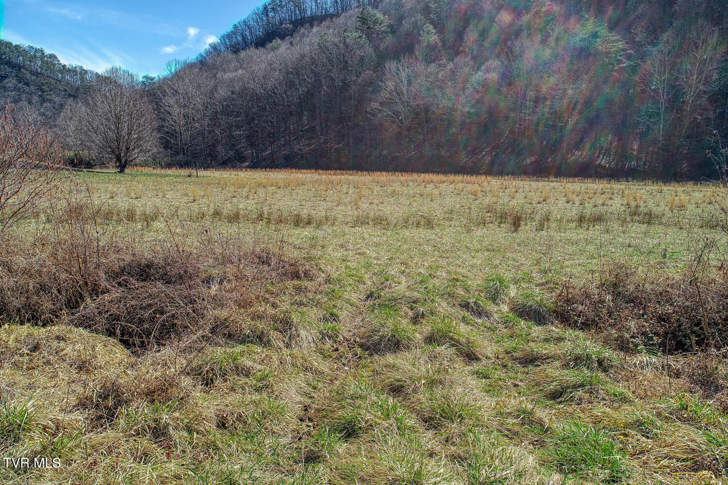 1895 Poor Valley Road Rogersville, TN 37857 - Photo 66 of 174 CBJ. 1895 Poor V Rd. Rog MLSa (66 of 72