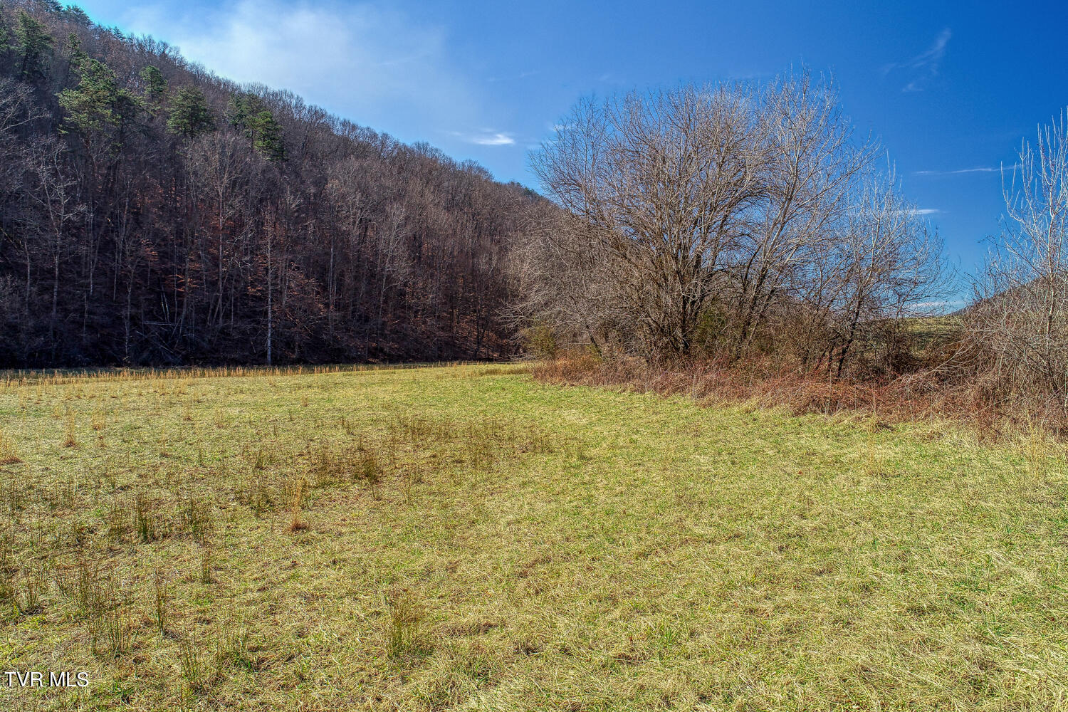 1895 Poor Valley Road Rogersville, TN 37857 - Photo 67 of 174 CBJ. 1895 Poor V Rd. Rog MLSa (67 of 72