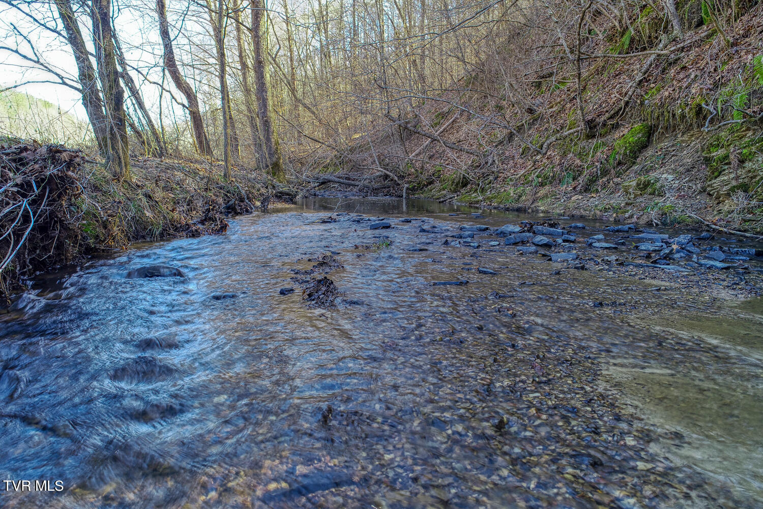 1895 Poor Valley Road Rogersville, TN 37857 - Photo 69 of 174 CBJ. 1895 Poor V Rd. Rog MLSa (69 of 72