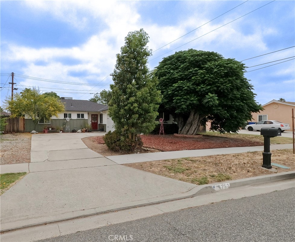 a view of a house with potted plants and large trees