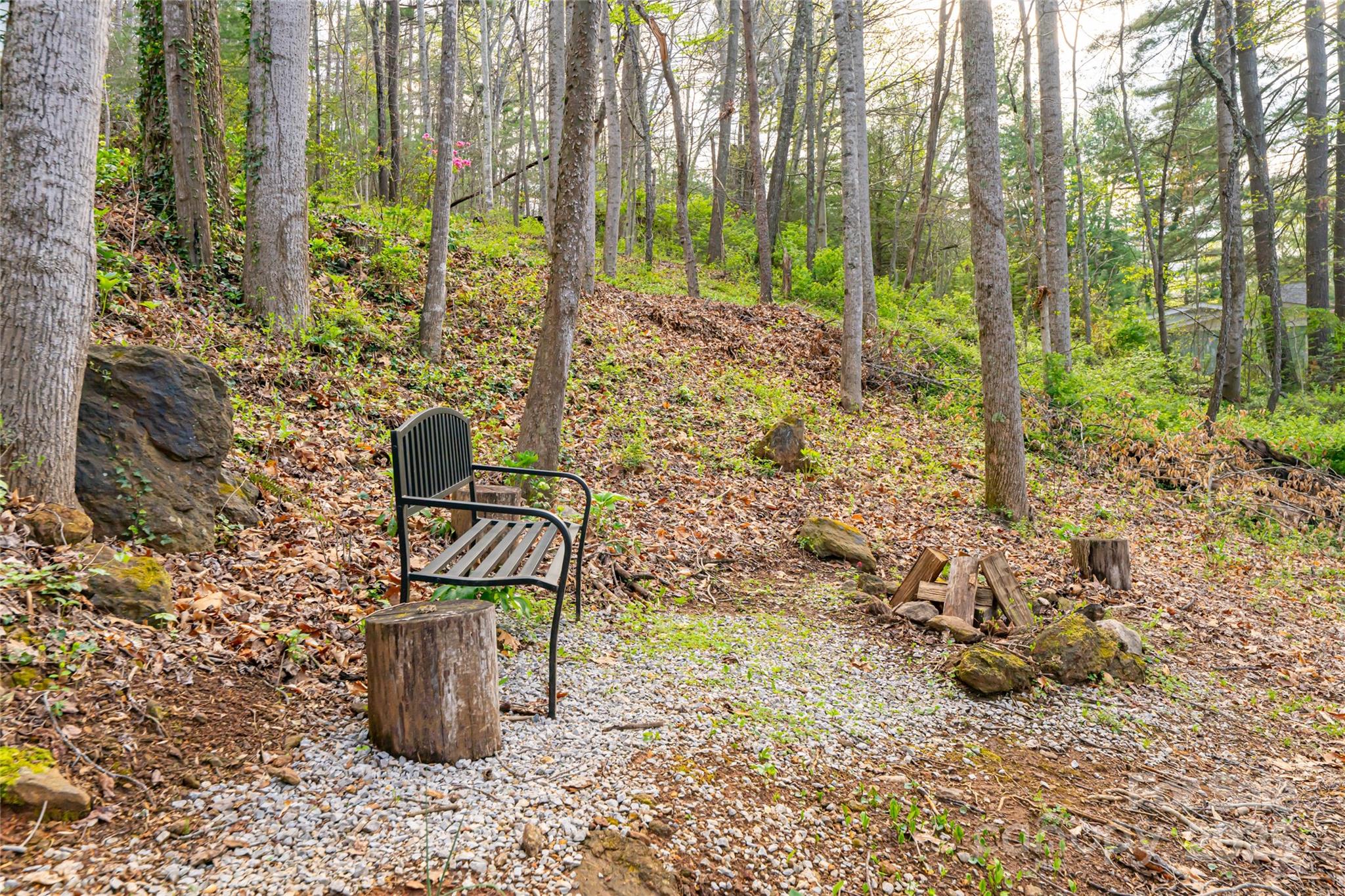 21 Mann Road Asheville, NC 28805 - Photo 2 of 36 a view of a garden with plants and trees