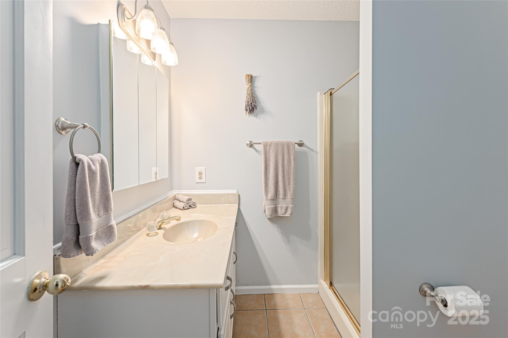 21 Mann Road Asheville, NC 28805 - Photo 26 of 36 a bathroom with a sink and a mirror
