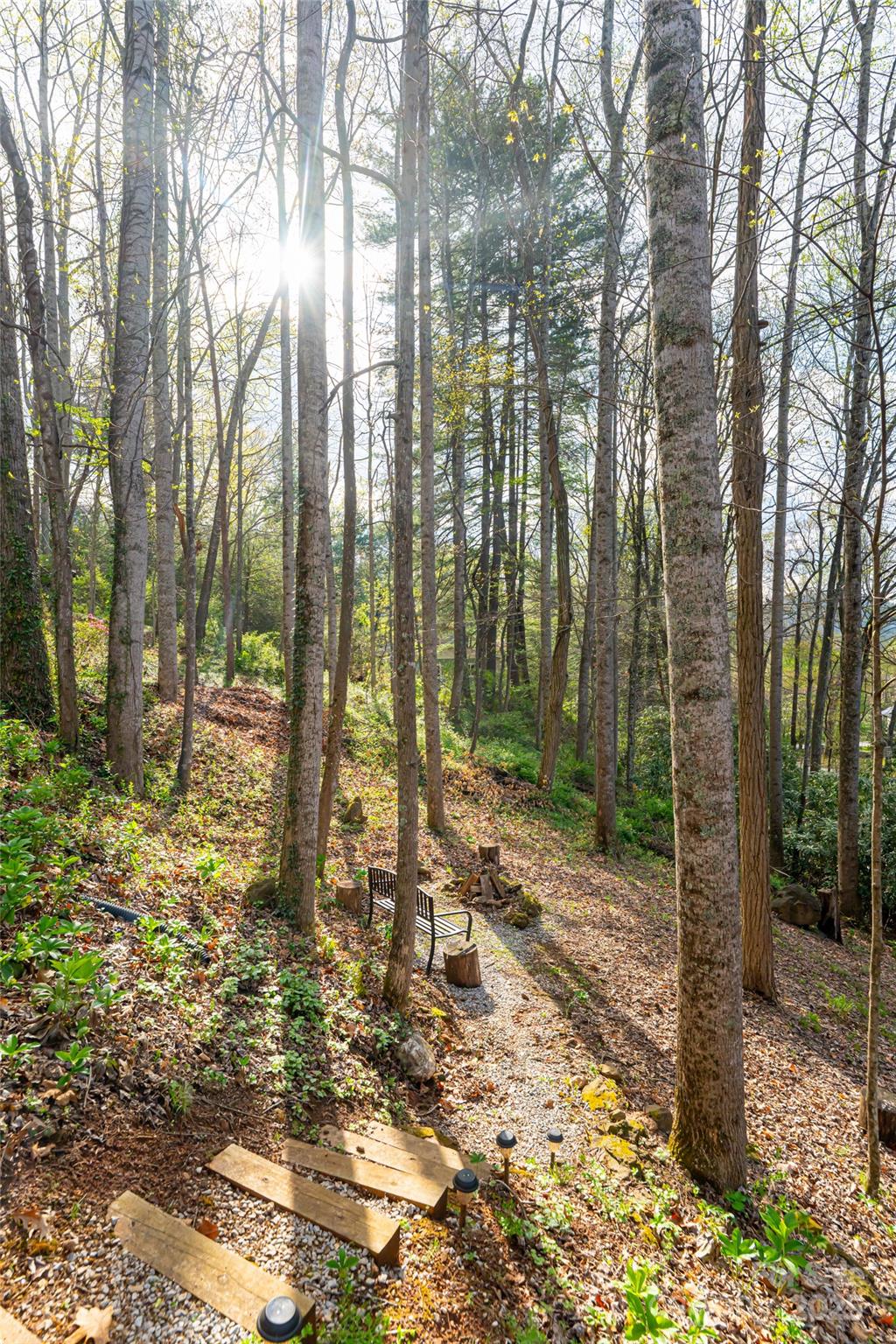 21 Mann Road Asheville, NC 28805 - Photo 33 of 36 a view of outdoor space with trees