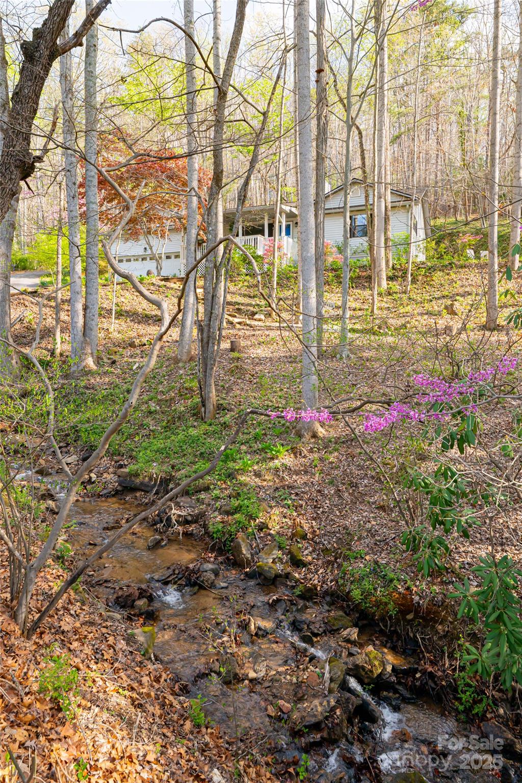 21 Mann Road Asheville, NC 28805 - Photo 35 of 36 a view of a yard with plants and large trees