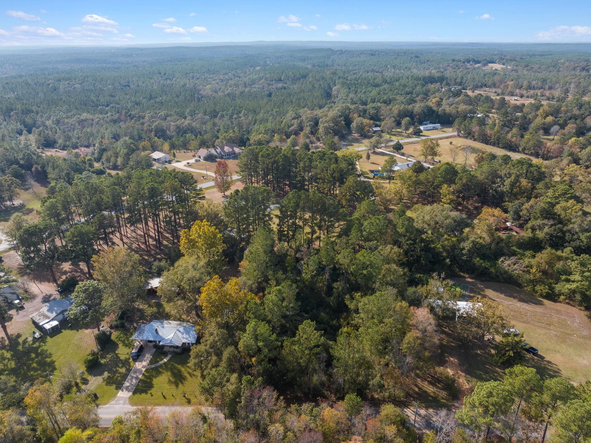 35741 Pine Road North Stapleton, AL 36578 - Photo 8 of 11