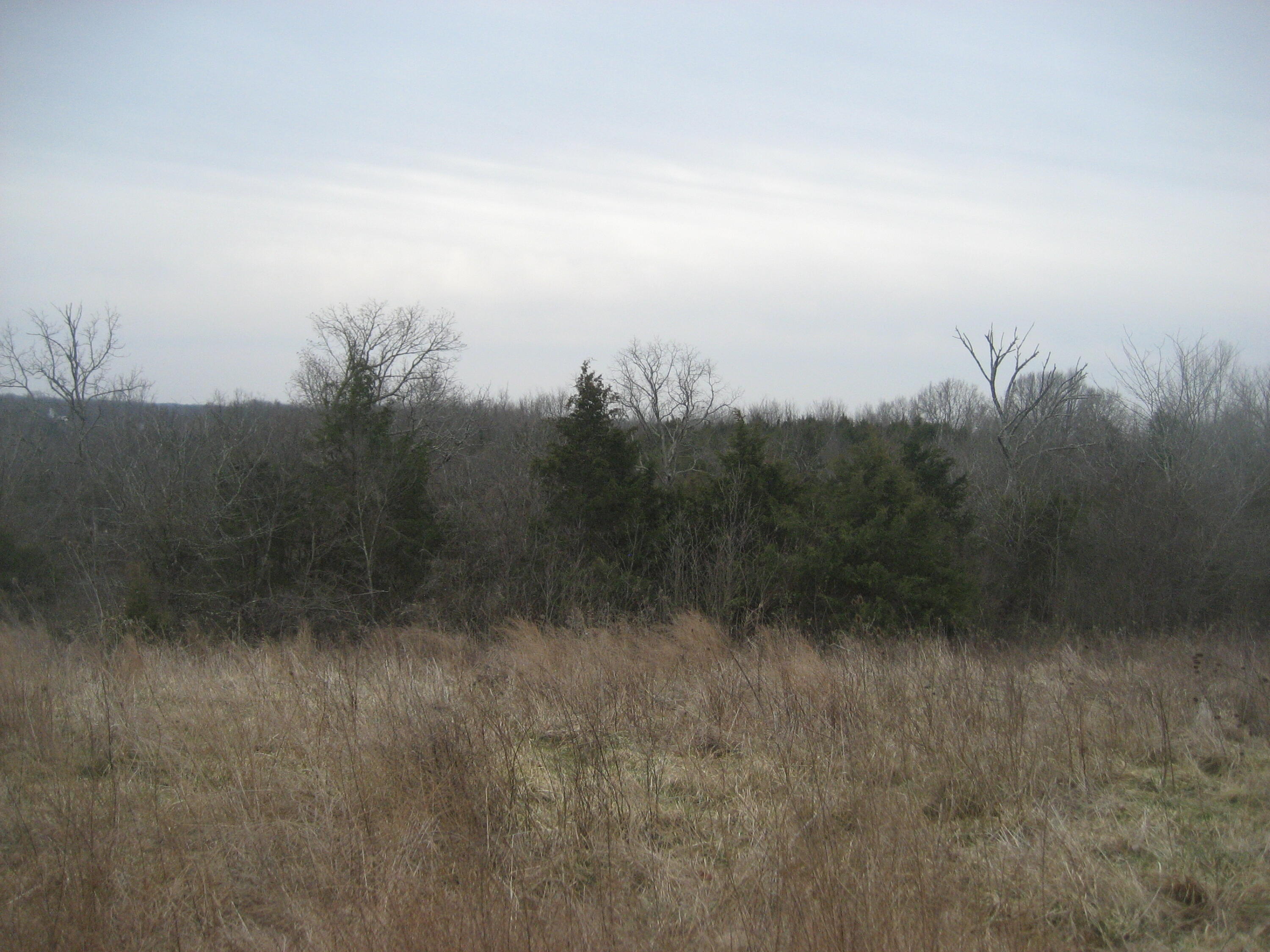 1235 Rutherford School Road Lawrenceburg, KY 40342 - Photo 6 of 31 IMG_1345