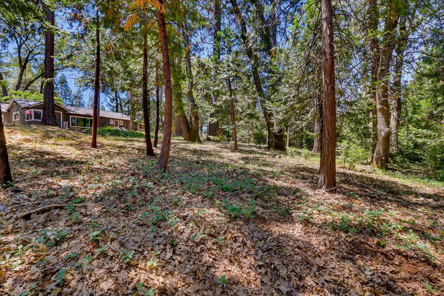 13316 Banner Lava Cap Road Nevada City, CA 95959 - Photo 62 of 73