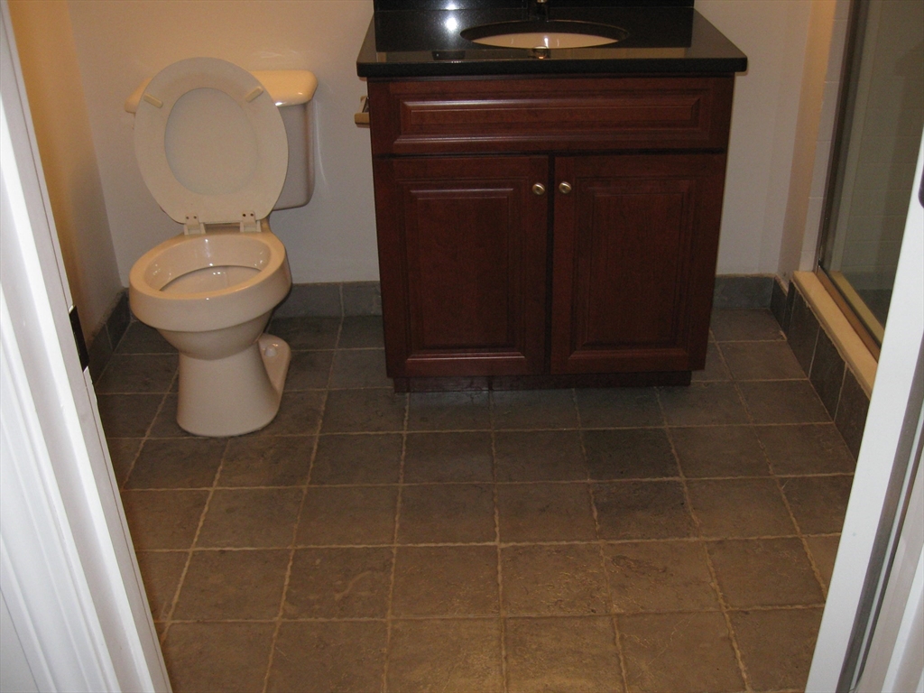 2856 Washington Street Boston, MA 02119 - Photo 13 of 39 a bathroom with a toilet and a mirror