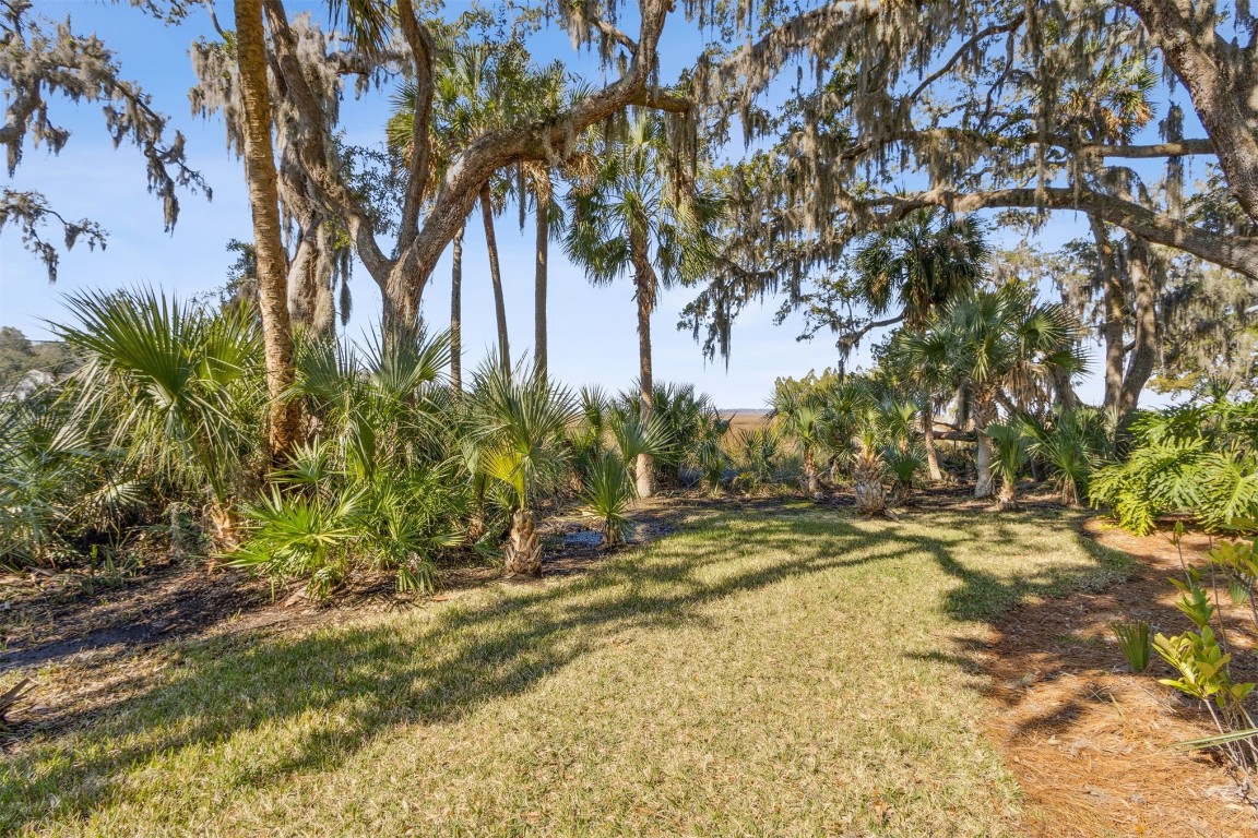 3417 Sea Marsh Road, Unit 3417 Fernandina Beach, FL 32034 - Photo 13 of 19 a view of a yard with a tree