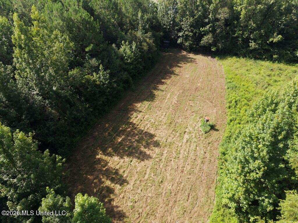 Remington Road Poplarville, MS 39470 - Photo 5 of 13 IMG_1615