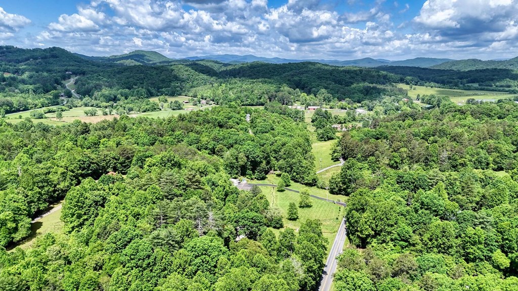 520 Brasstown Road Murphy, NC 28906 - Photo 59 of 61 Gallery Image 59