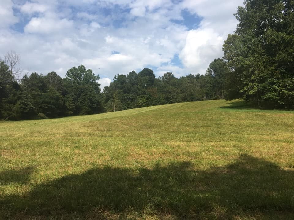 0 Albert Morgan Road Summer Shade, KY 42166 - Photo 1 of 23 Gallery Image 1