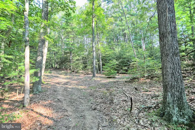 $180,000 | 12270 Buffalo Trace, Millerstown, PA 17062