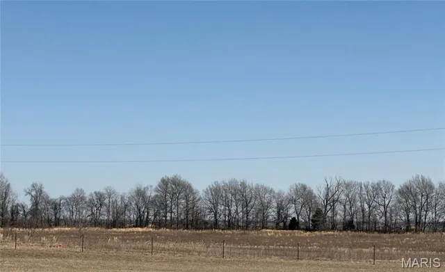 $325,000 | 0 County 442 Road, Kennett, MO 63857