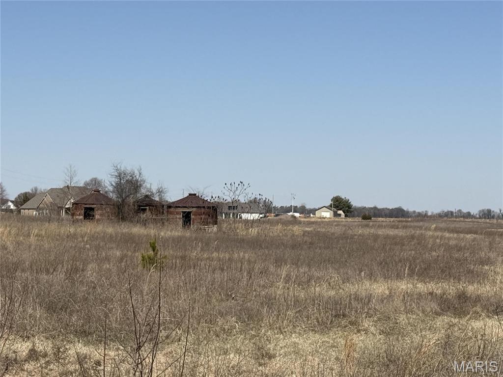 0 County 442 Road Kennett, MO 63857 - Photo 2 of 20