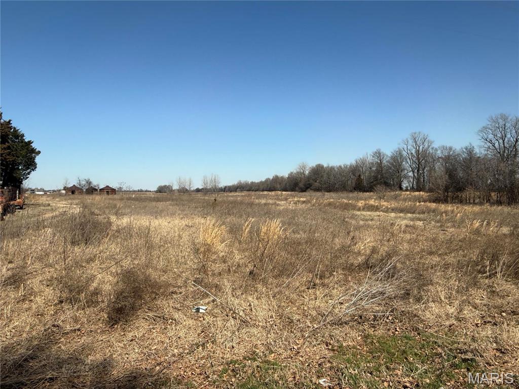 0 County 442 Road Kennett, MO 63857 - Photo 3 of 20