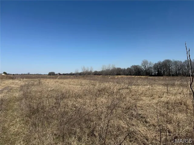 $325,000 | 0 County 442 Road, Kennett, MO 63857