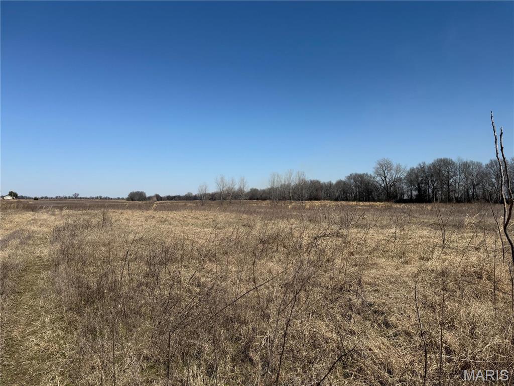 0 County 442 Road Kennett, MO 63857 - Photo 8 of 20