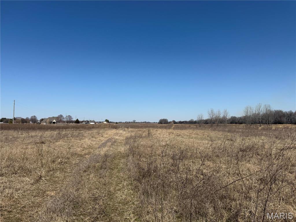 0 County 442 Road Kennett, MO 63857 - Photo 9 of 20