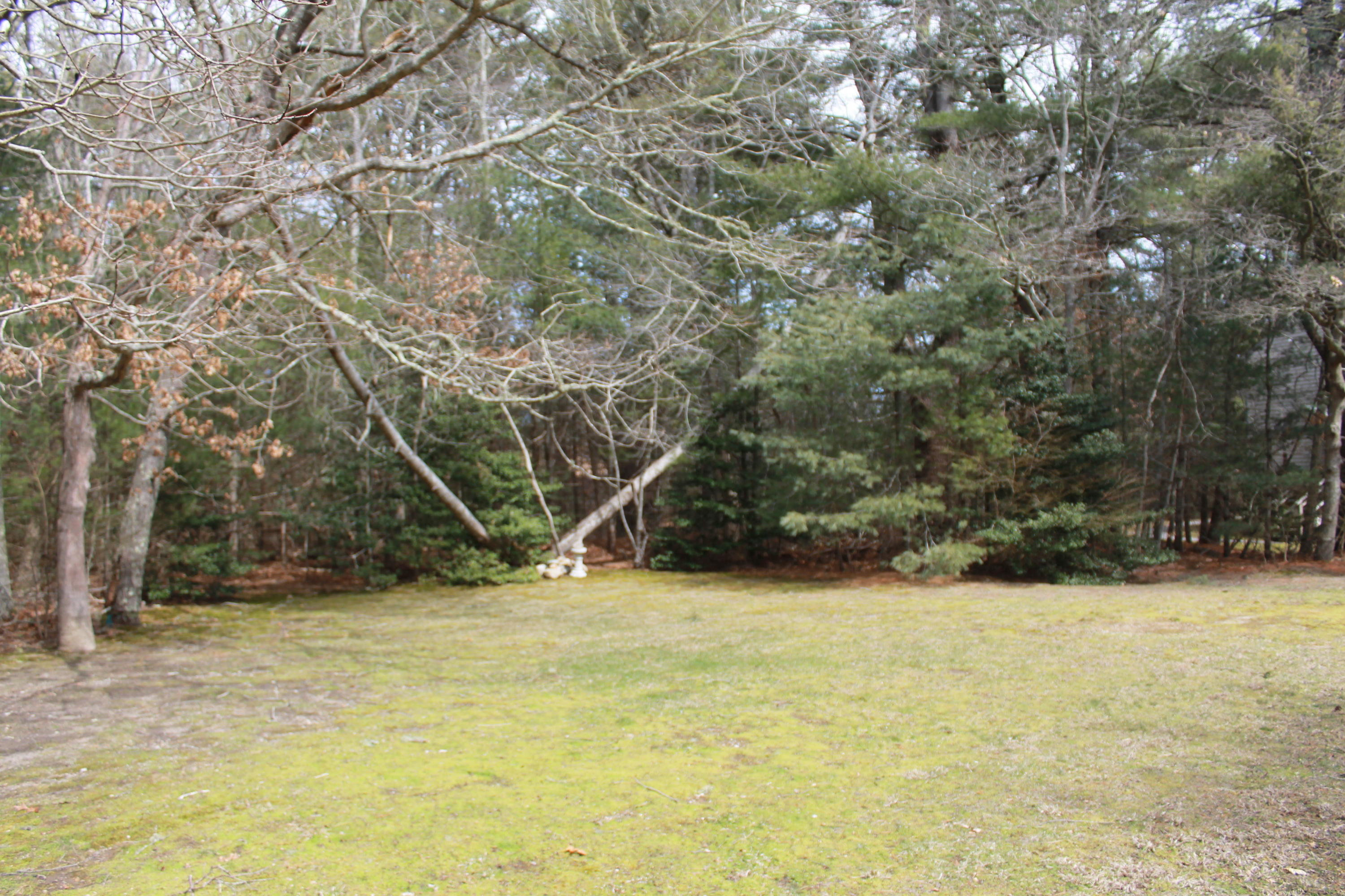 26 Round House Road, Unit 26 Bourne, MA 02532 - Photo 20 of 25 a view of outdoor space with deck and tree
