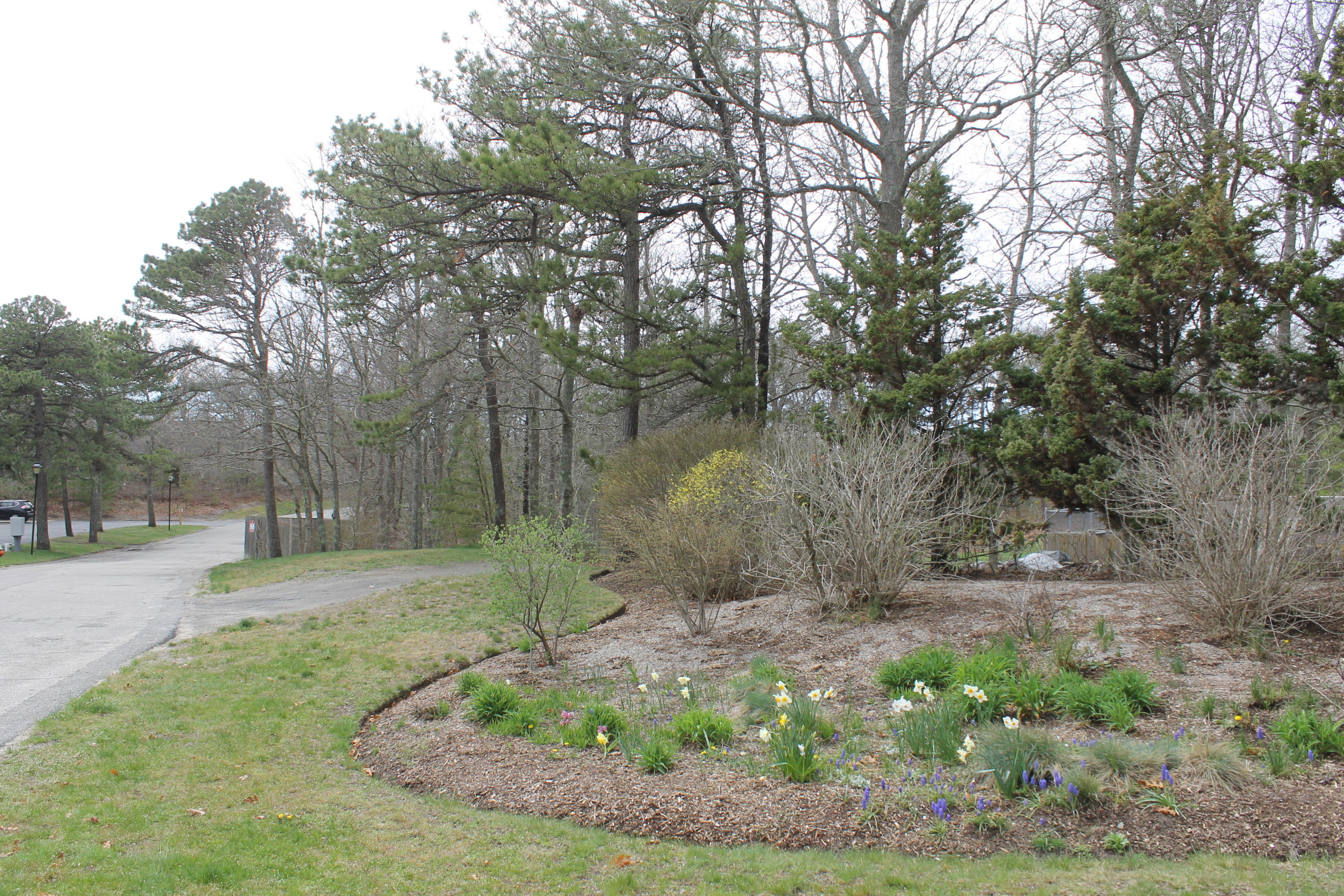 26 Round House Road, Unit 26 Bourne, MA 02532 - Photo 25 of 25 a backyard of a house with trees