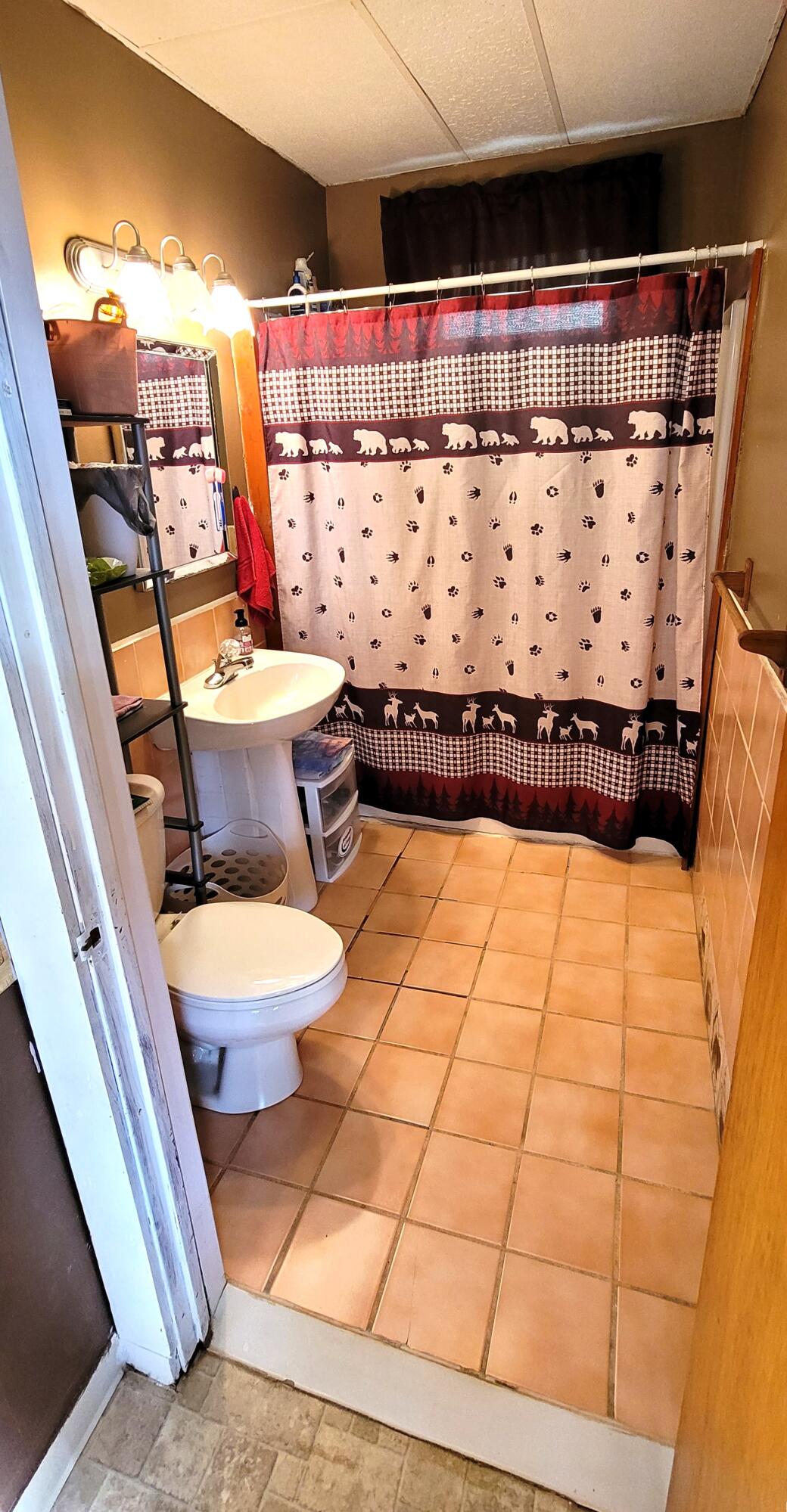 289 Meadow Bridge Road Meadow Bridge, WV 25976 - Photo 22 of 36 Gallery Image 22
